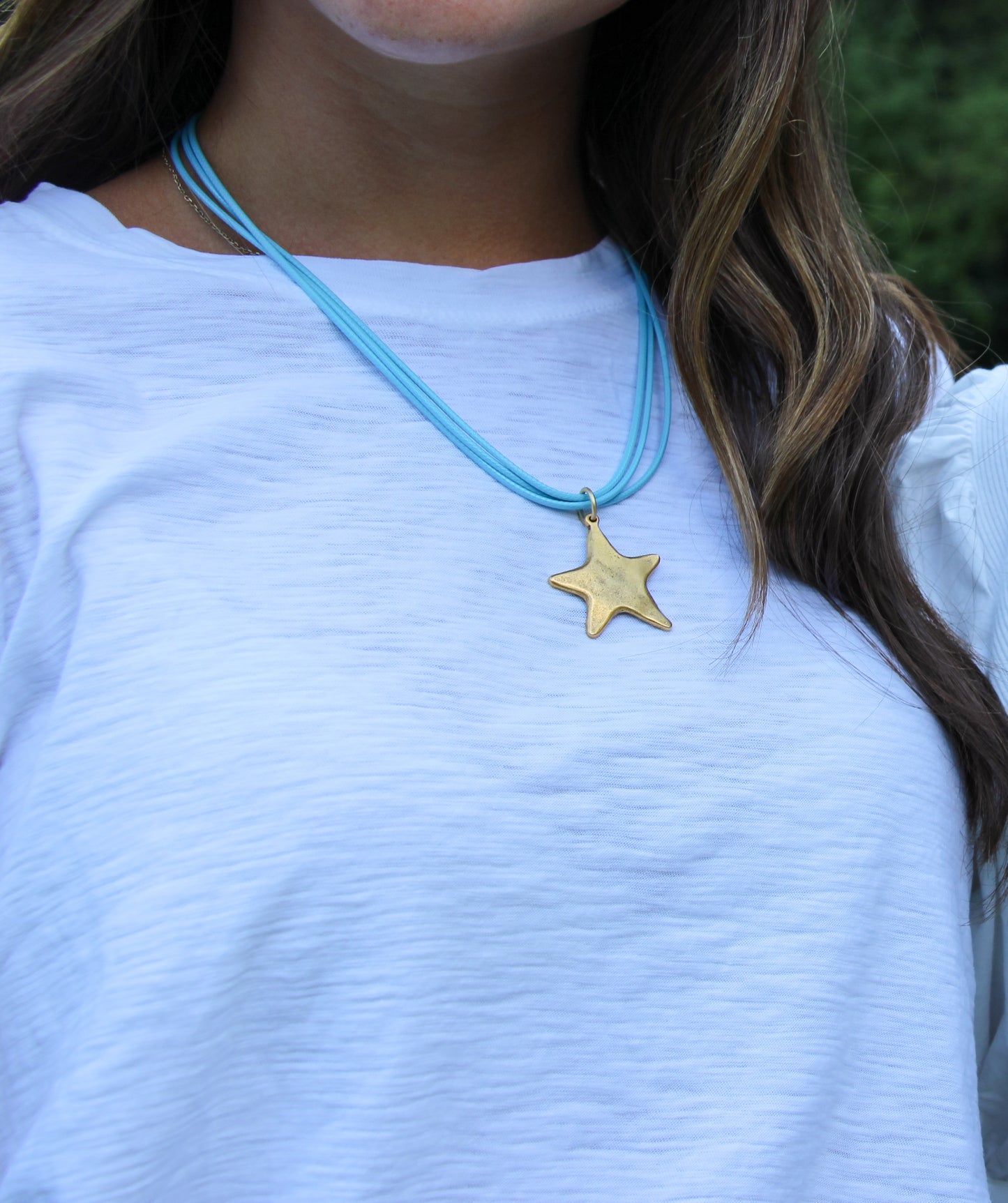 The Gameday Star - Carolina