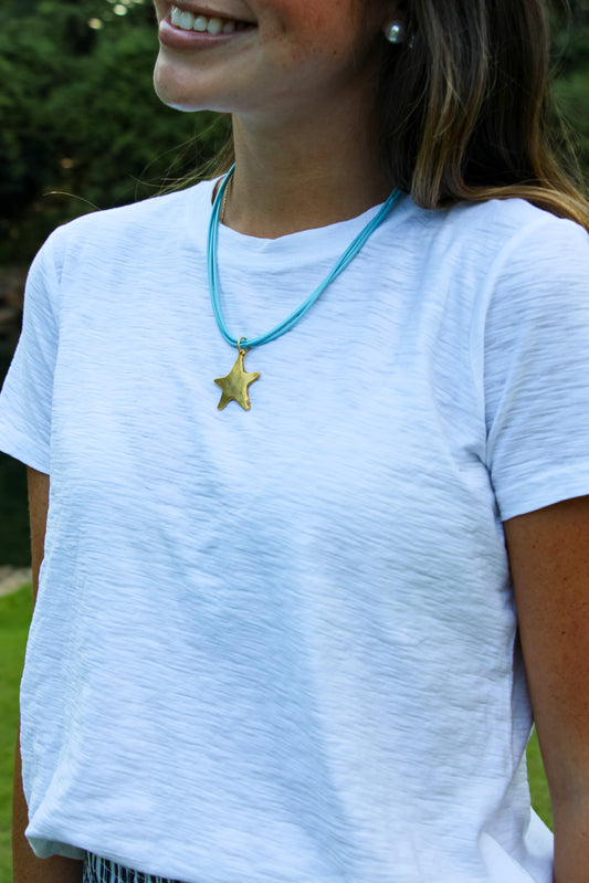 The Gameday Star - Carolina