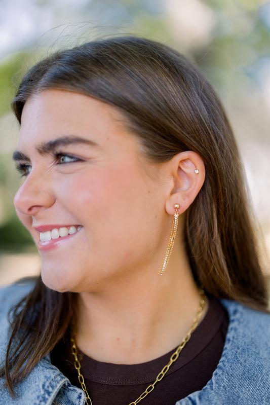 Shine Tassel Earring